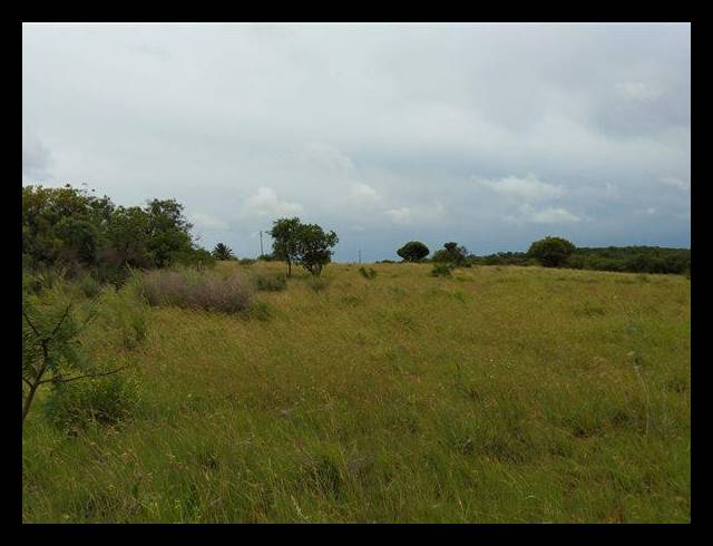 FARM FOR SALE IN VAAL MARINA